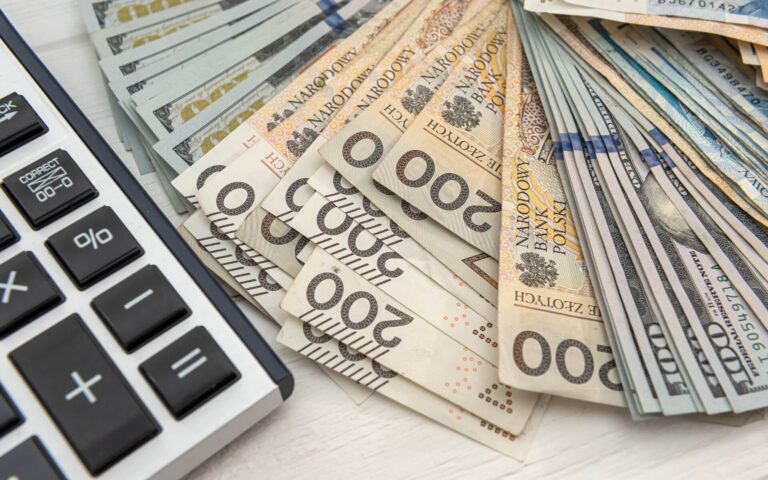 Etapy egzekucji administracyjnej prowadzonej przez marszałka województwa